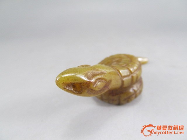  p>古杯蛇是出现于古新世至渐新世的一种古海蛇,小的体长1·5米,大的9