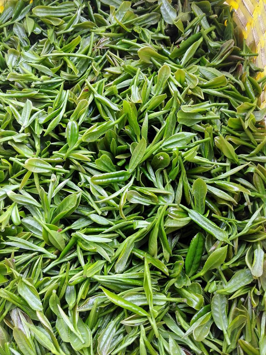 "122534">福建省 /a> a target="_blank" href="/item/龙岩市/608010"