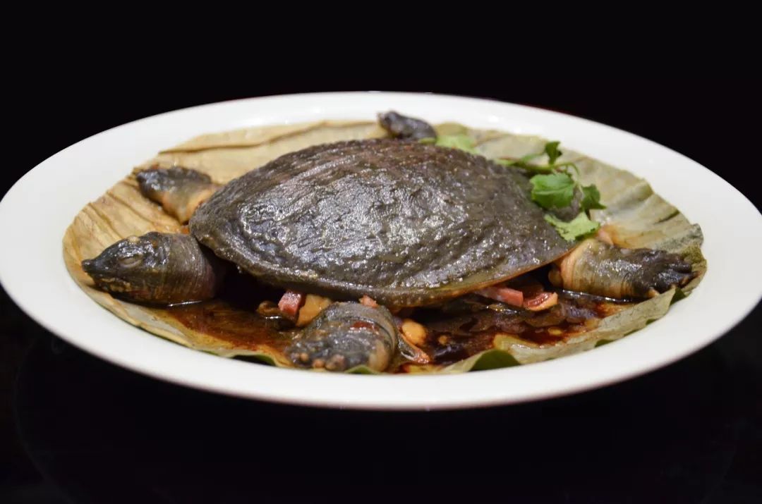  p> 荷香水鱼是一道美食,主料是荷叶,水鱼,辅料是姜片,葱段,加饭酒