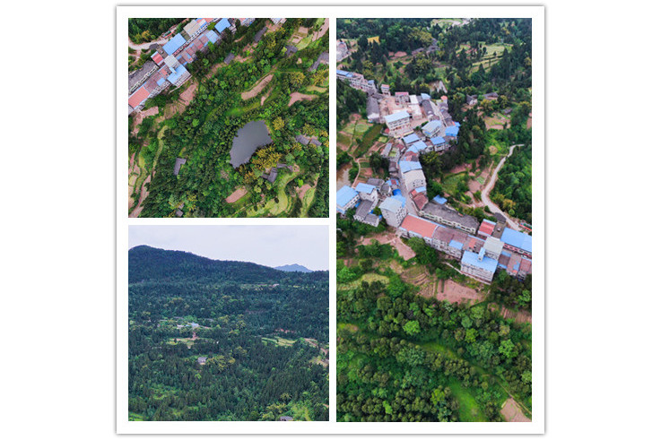 data-lemmaid="212569">四川 /a>省南充市营山县,地处 a target="