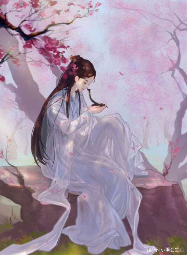 胜过白鹭成双的《桃花折江山》，空留的这本又撩又宠的古言文完爆_百科TA说