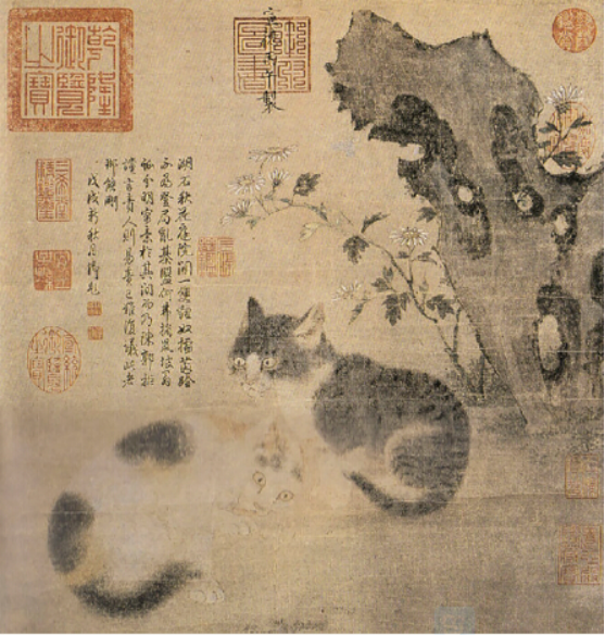 历史悠久的中国猫_百科TA说