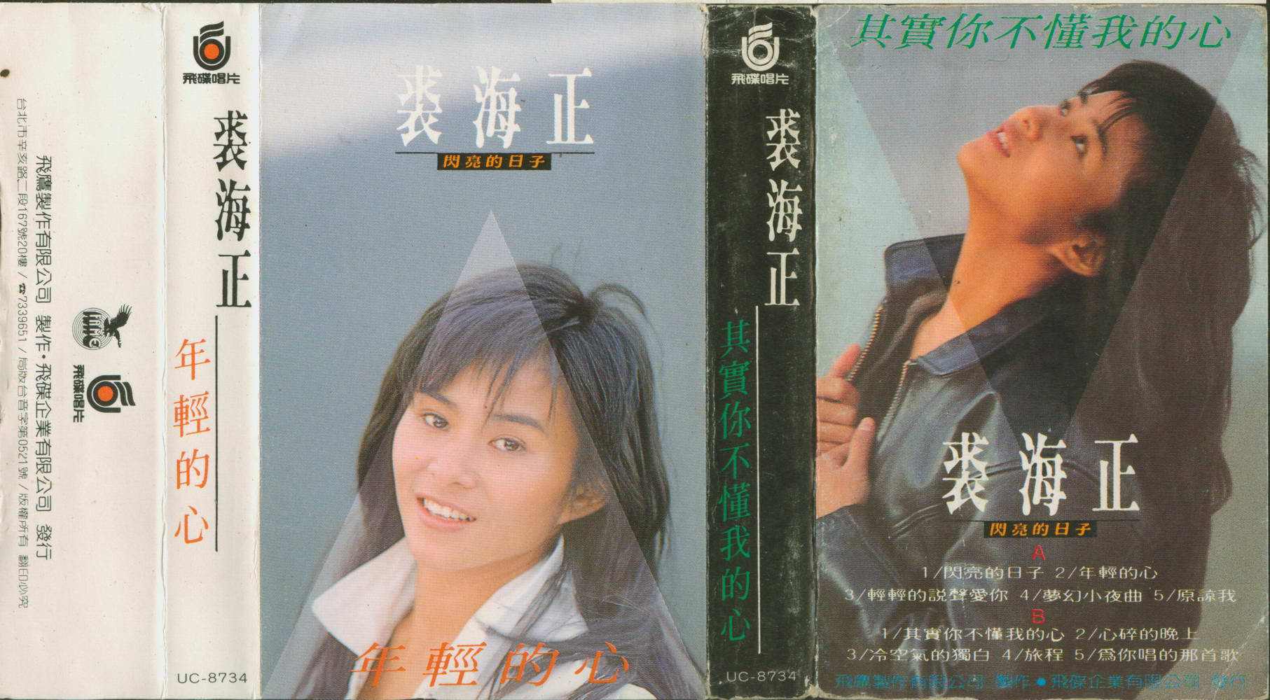 其实歌曲(其实歌曲表达什么意思)