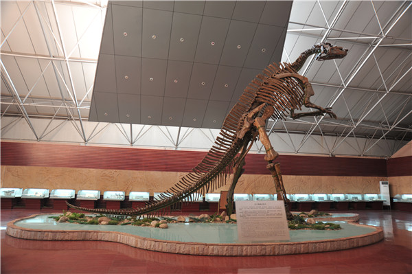 山东诸城恐龙博物馆