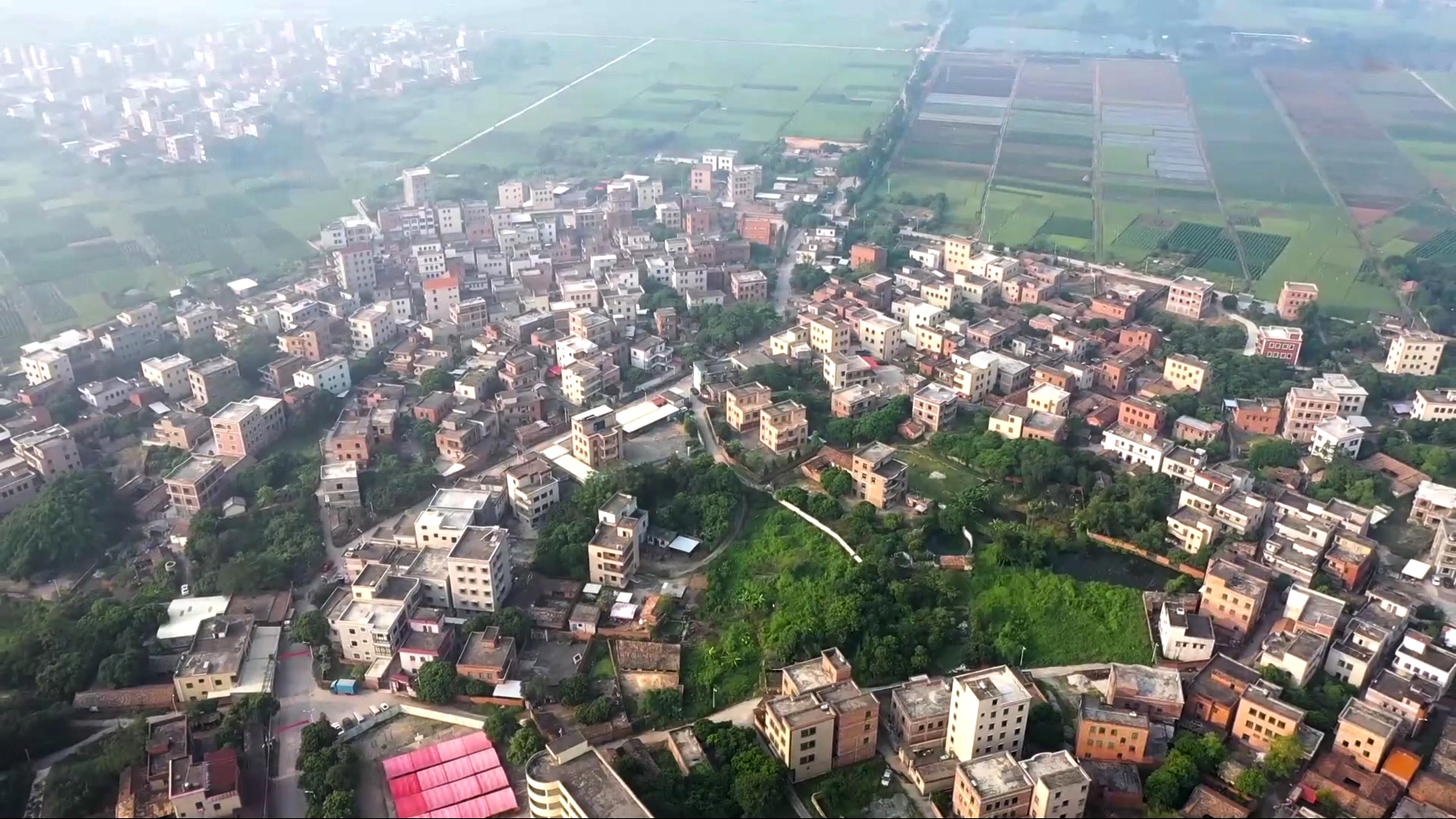  p>广东省茂名市 a target="_blank" href="/item/金塘镇/32961" data