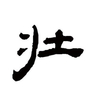 壮（汉语文字）_百度百科