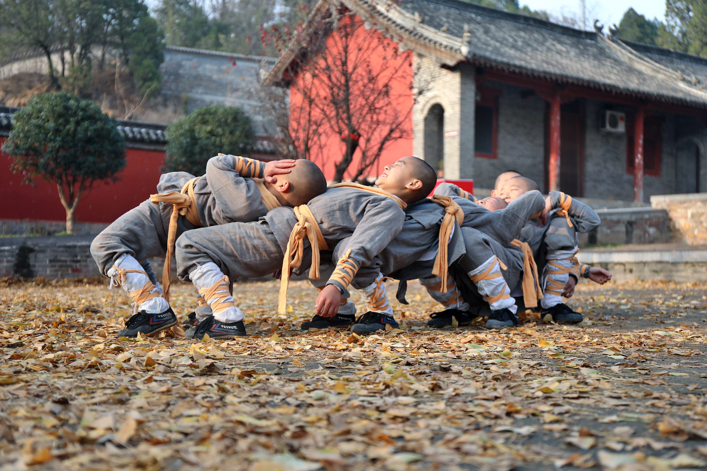 由平均年龄不到10岁的少林俗家弟子组成的一支专业化的功夫团队.