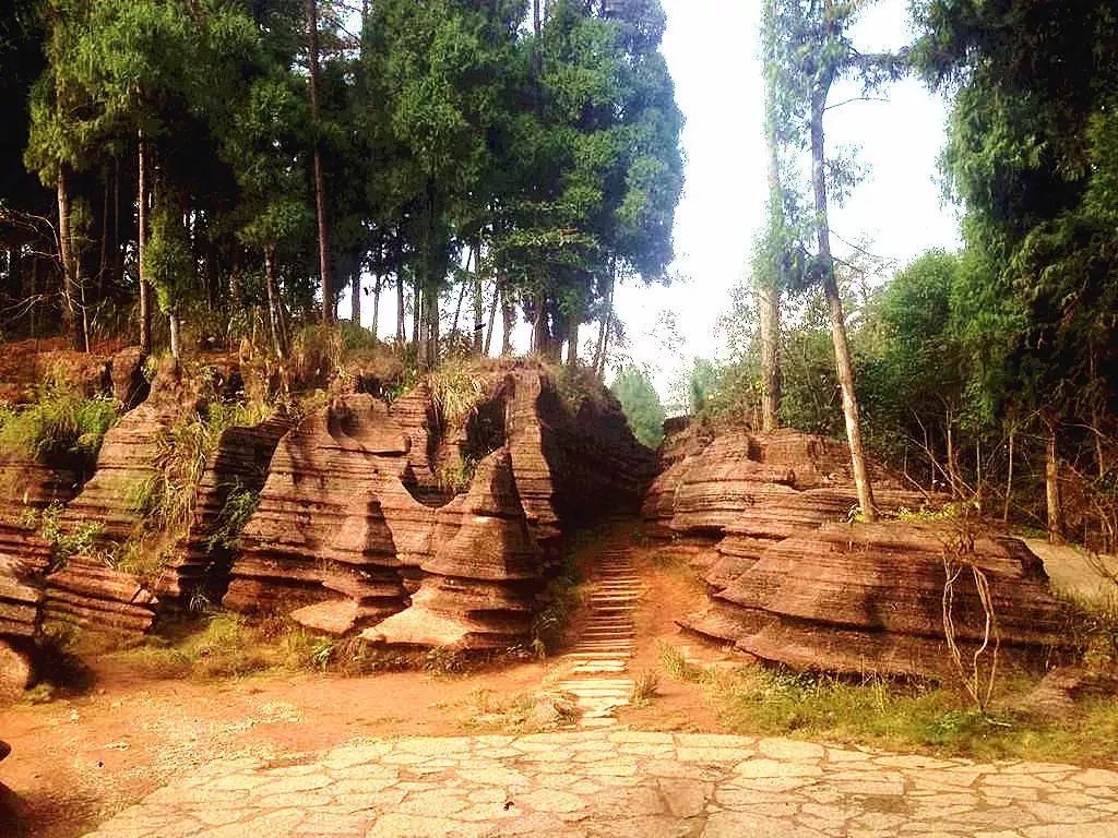 刻木山国家石漠公园