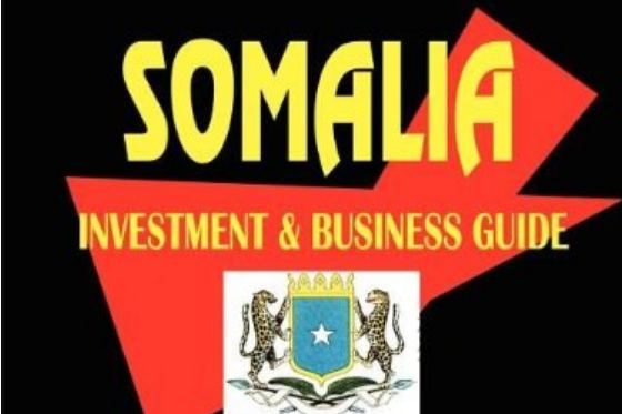 somalia investment and business guide