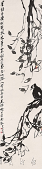 玉兰八哥
