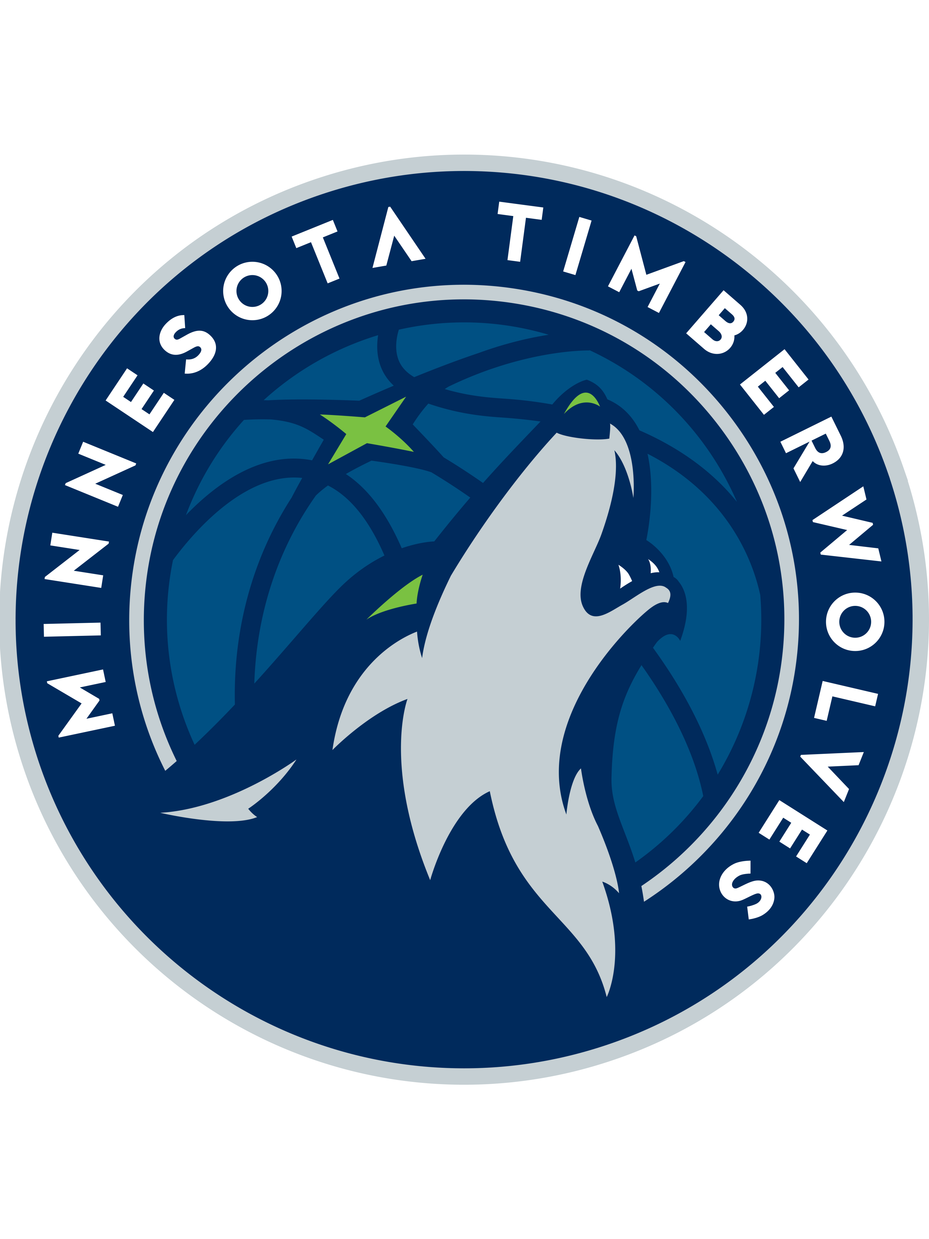  p>明尼苏达森林狼队(minnesota timberwolves)是一支位于美国