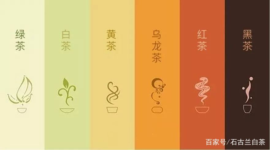 中国六大茶类分别是哪六类？一文讲清楚_百科TA说