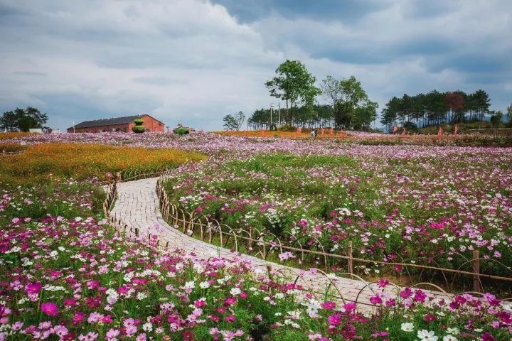 秋长花海影视基地