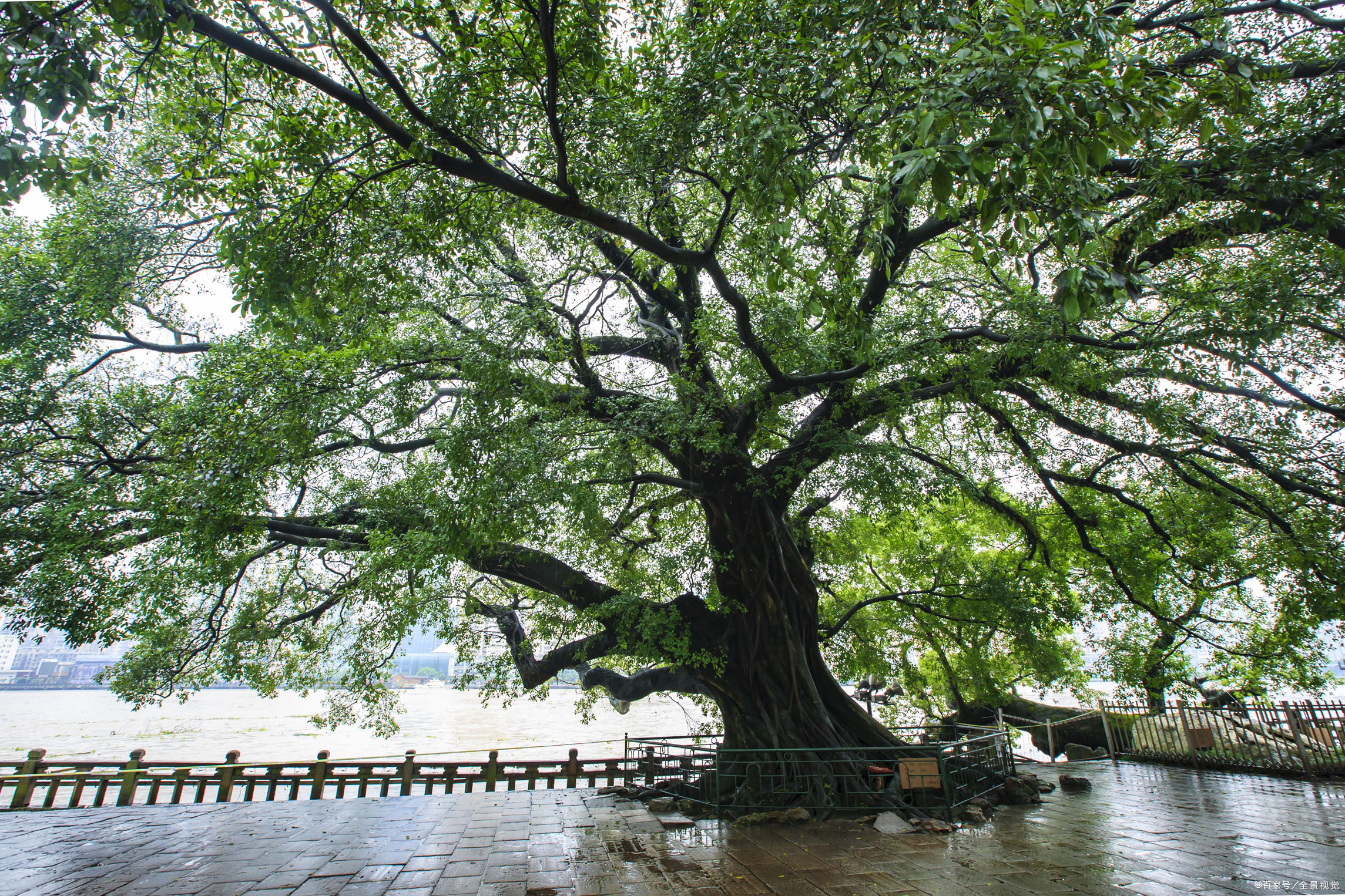 穷则独善其身，达则兼济天下”，祖先的金句反着来，难免会失意_百科TA说
