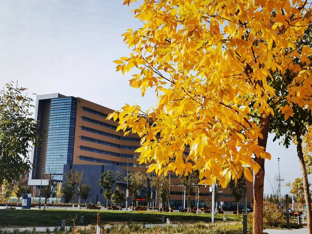 中石油大学克拉玛依校区