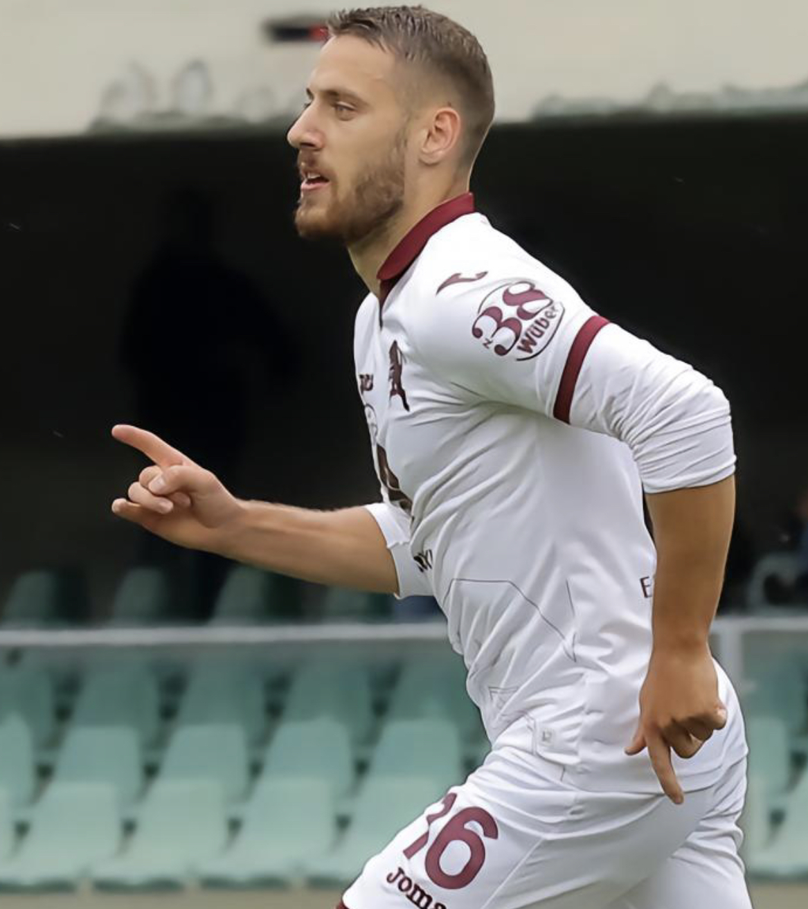 尼古拉·弗拉希奇