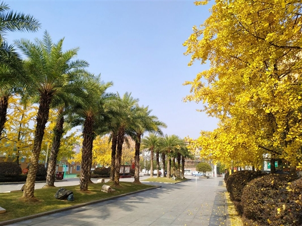 自贡市汇东实验学校