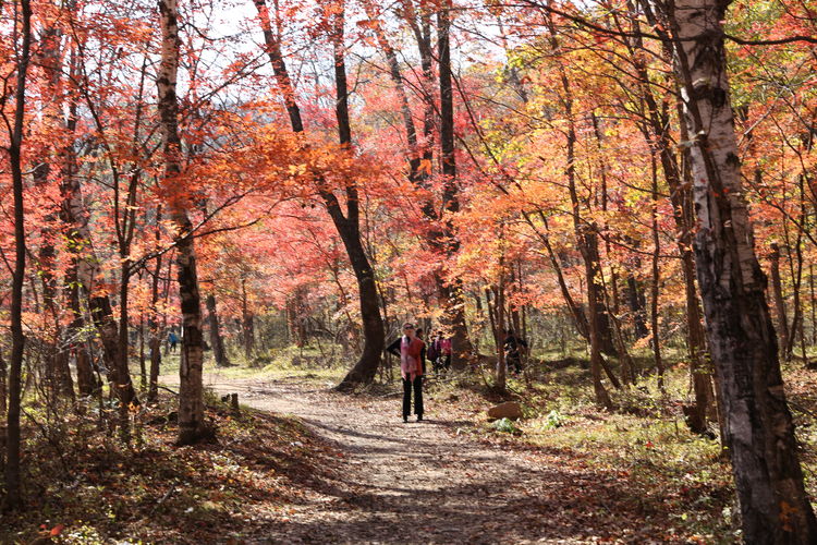  p data-id="gnbd9ksr8w">松江镇,隶属于吉林省吉林市蛟河市,地处 a
