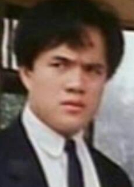 海报