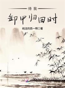 待我卸甲归田时