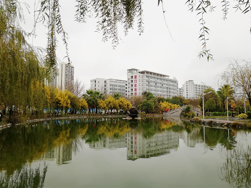  p>厦门东海职业技术学院是经福建省人民政府批准,国家教育部备案