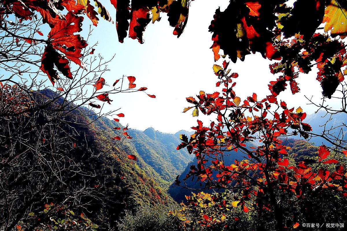 爱国诗句 上马击狂胡 下马草军书 你知道作者是谁吗 百科ta说