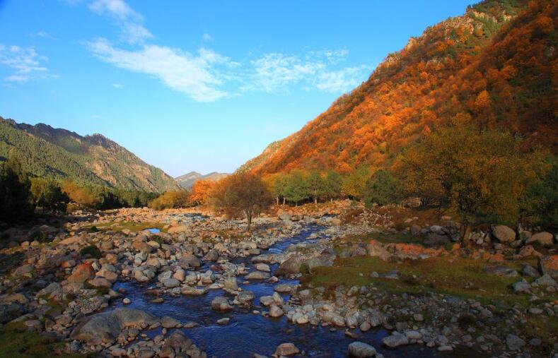 竹林沟自然保护区