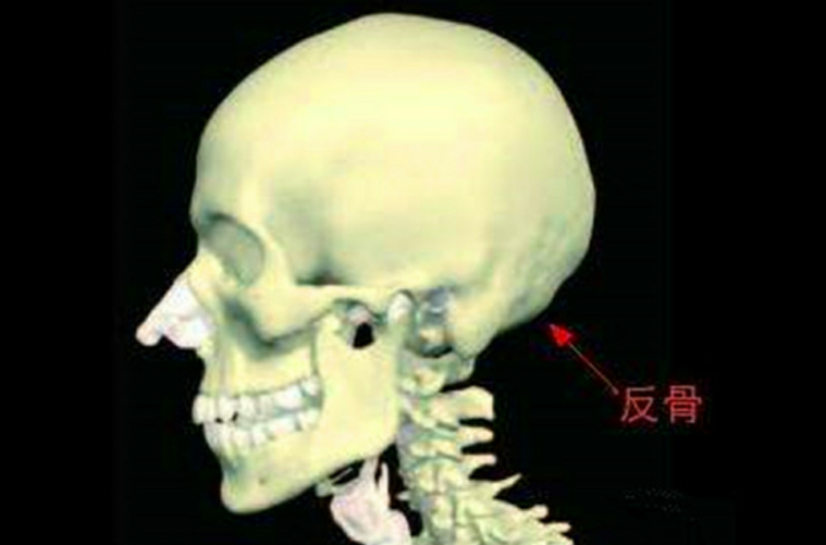  p>脑后有反骨是指后脑 a href="#" data-lemmaid="291960">枕骨 /a>