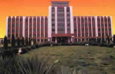 平原大学