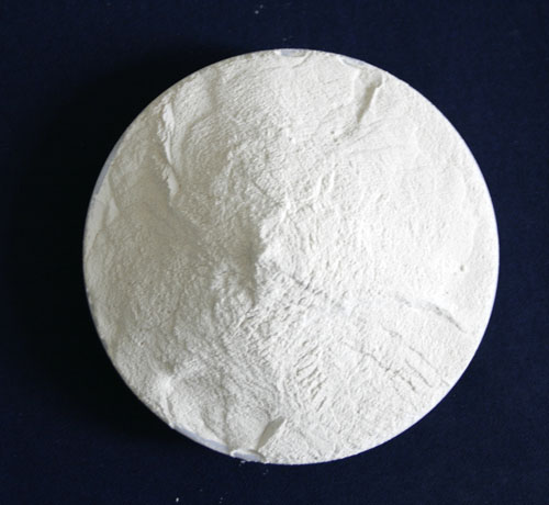 纳豆芽孢杆菌菌