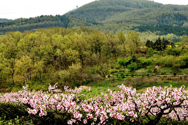 p>交山村位于江苏省溧水县柘塘镇,102省道两侧,东至柘塘中学,与秦淮