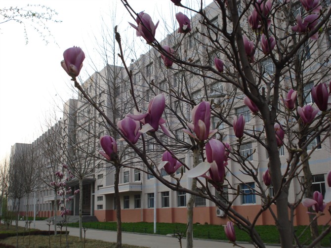 稼轩学校是<a target="