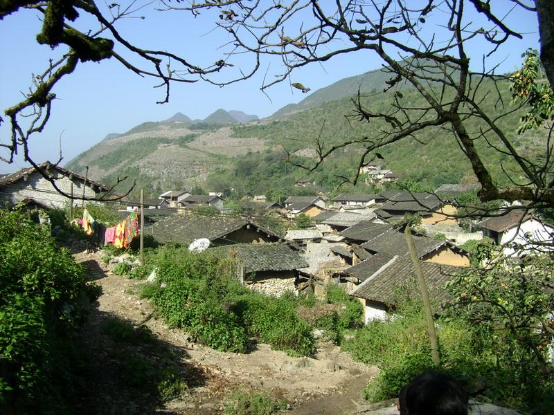  p>秧补油房村隶属于云南省文山州丘北县官寨乡秧补行政村,属于半山区