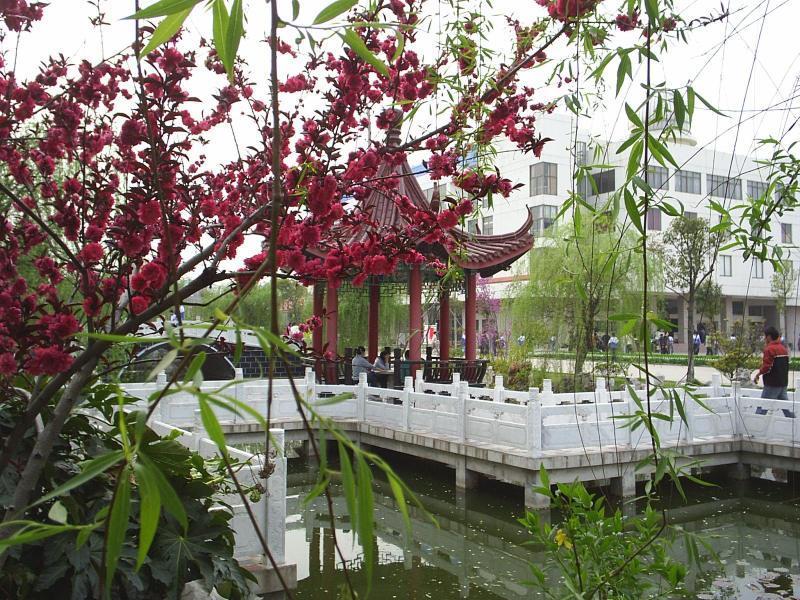  p>江苏省睢宁 a target="_blank" href="/item/高级中学">高级中学 