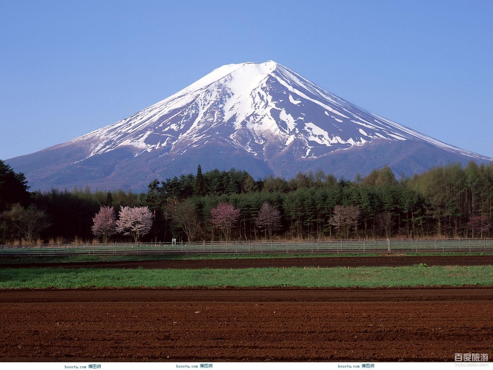 富士山