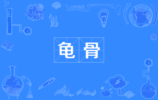 龟骨_百度百科