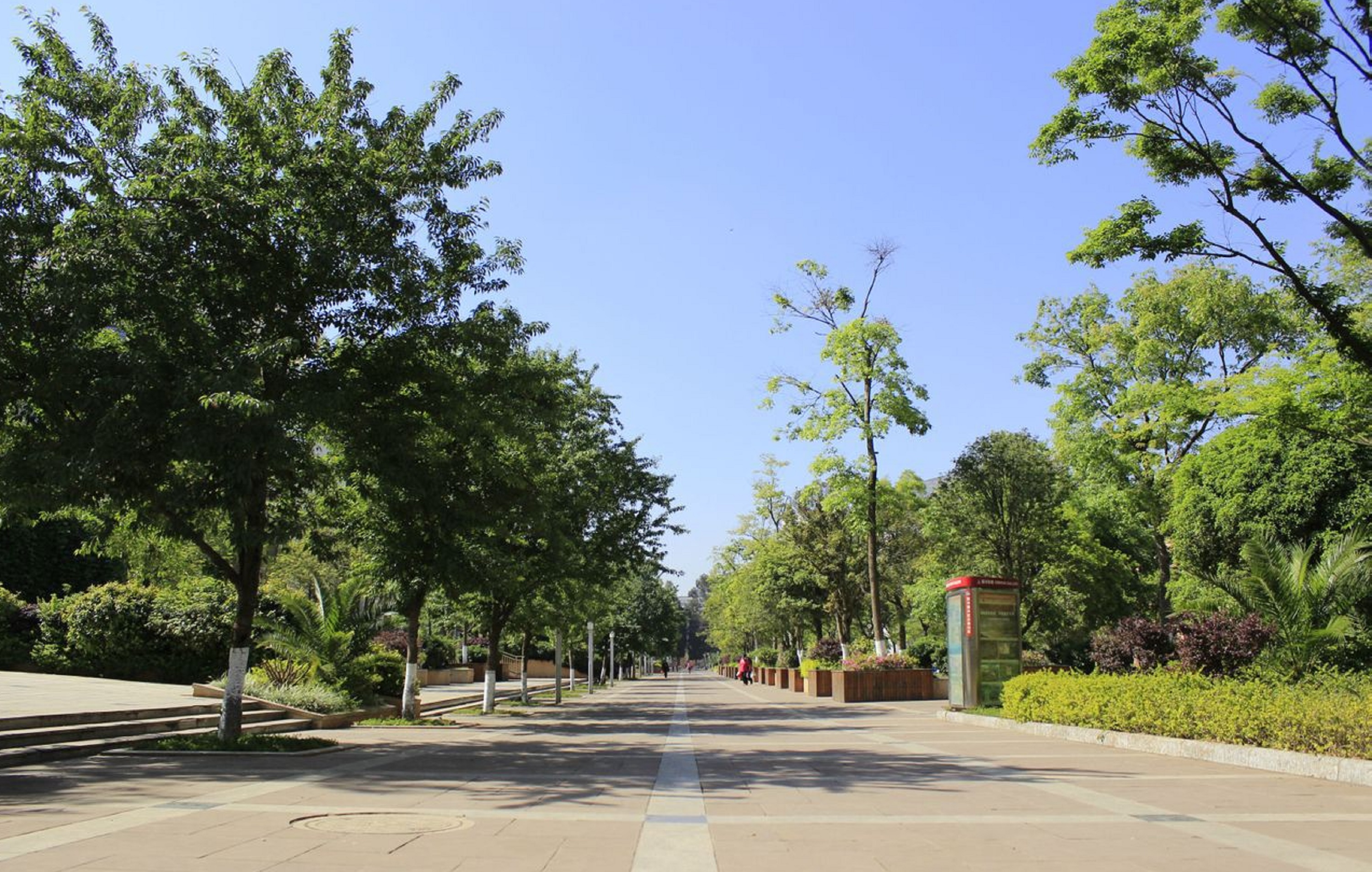  p>云南农业大学(yunnan agricultural university,yau),简称"云农大"