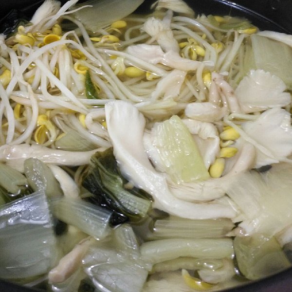 平菇豆芽蔬菜汤