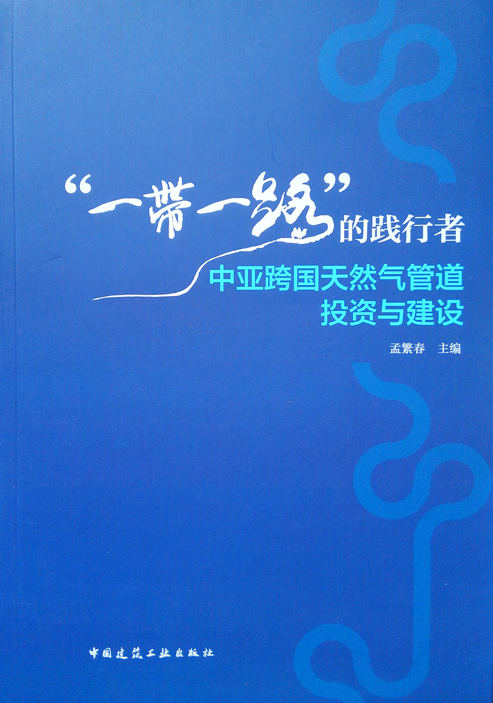 "一带一路"的践行者——中亚跨国天然气管道投资与建设