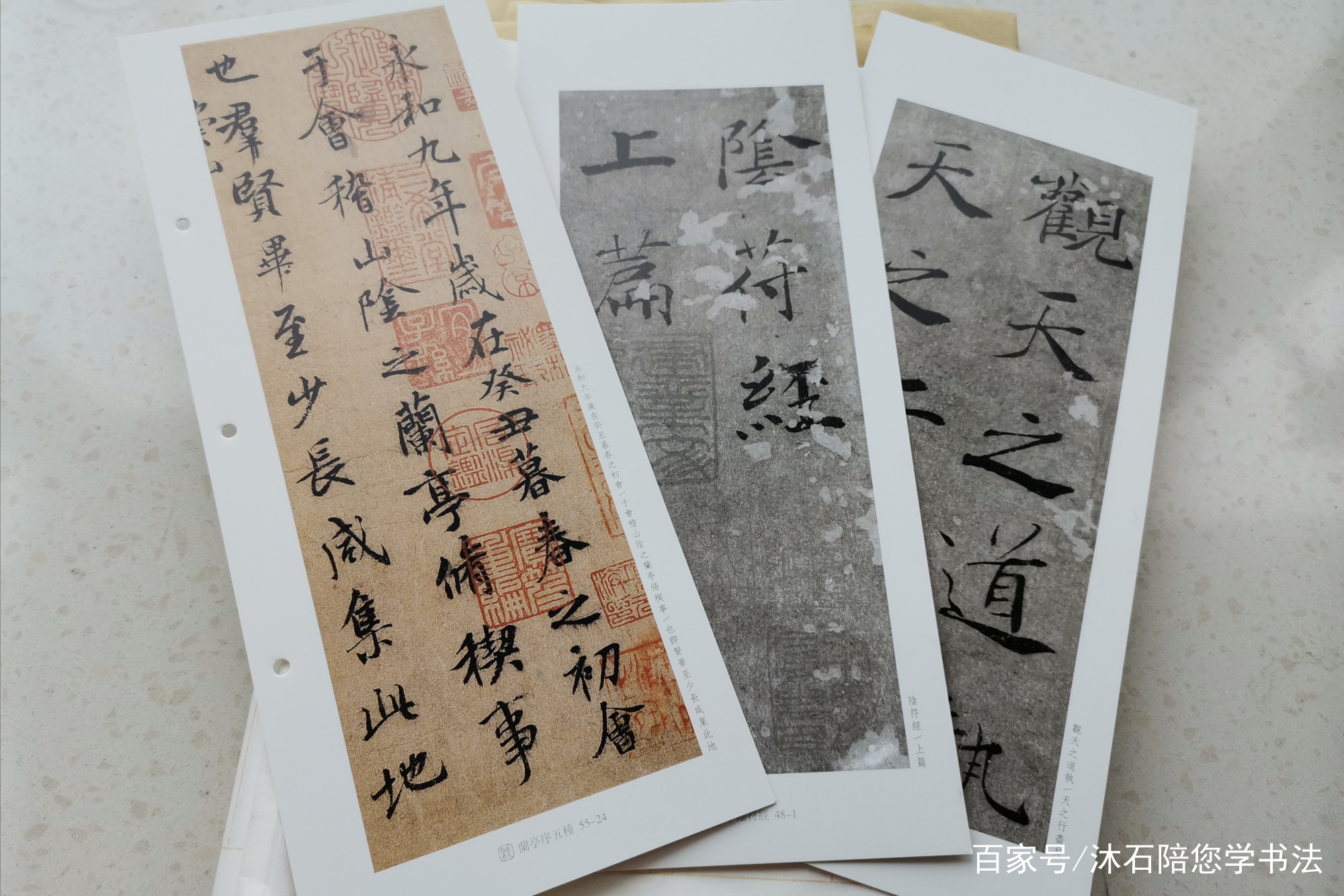 学书法，不会读帖？陈忠康：请分3步走，有用_百科TA说
