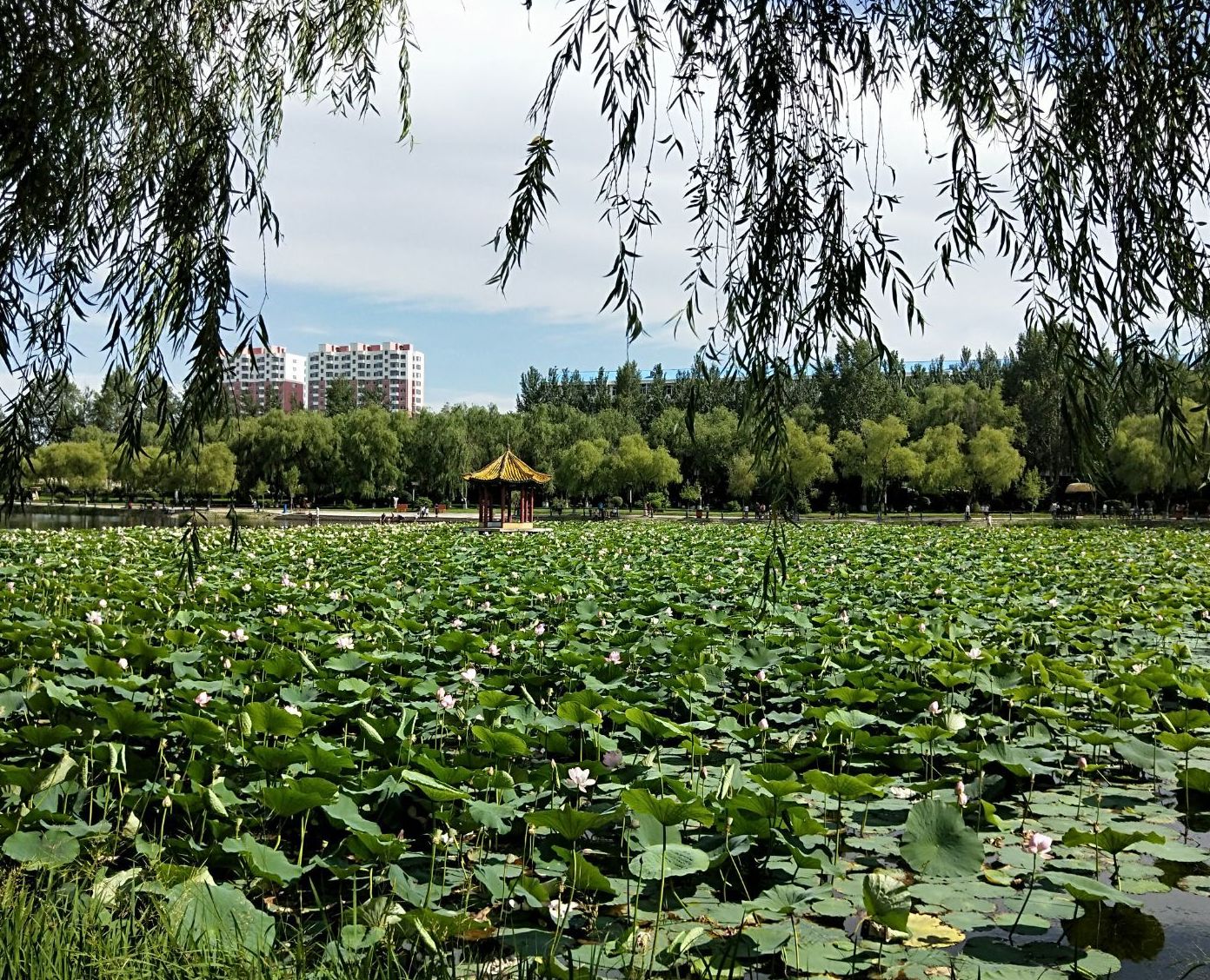 东北湖公园