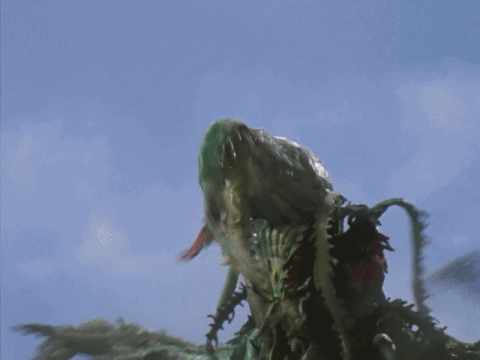 仿植物怪兽佐拉