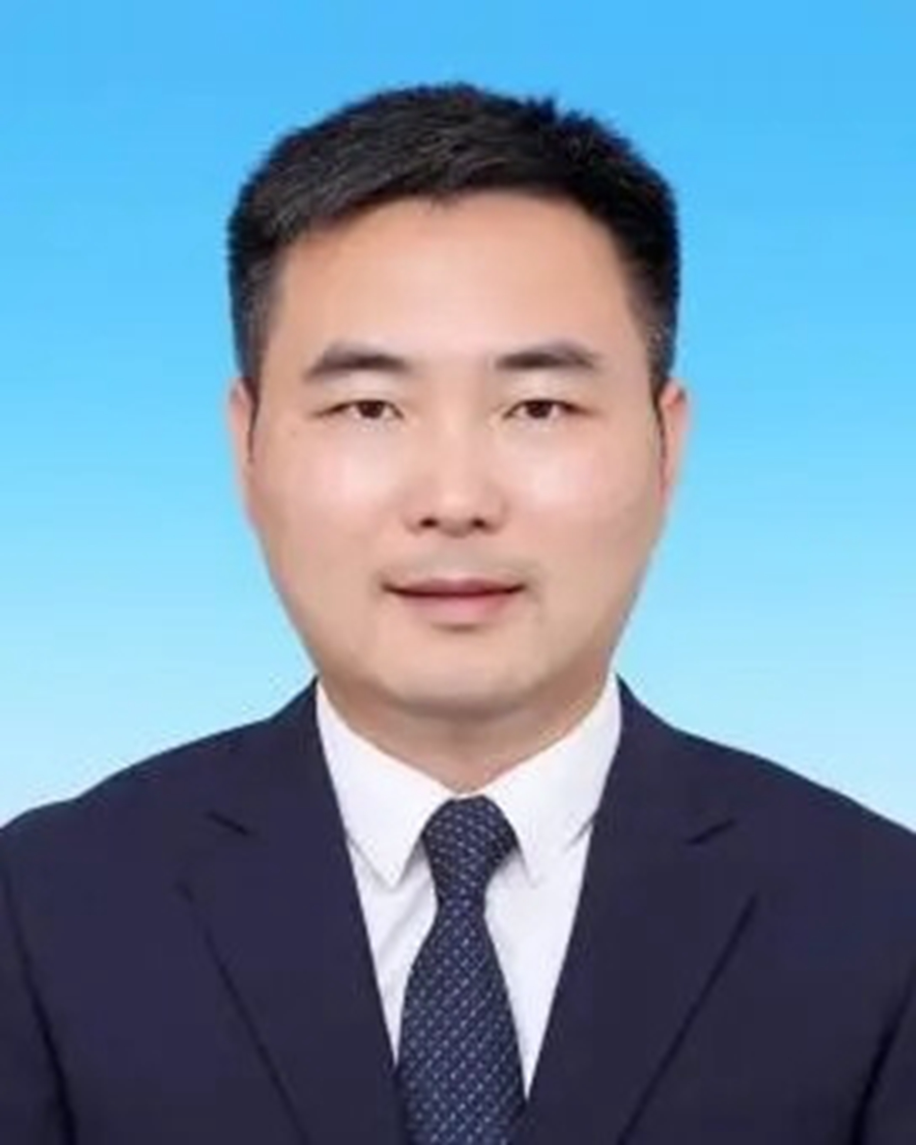 data-id="sq4we4jea9se">现任浙江省杭州市临平区人民政府副区长