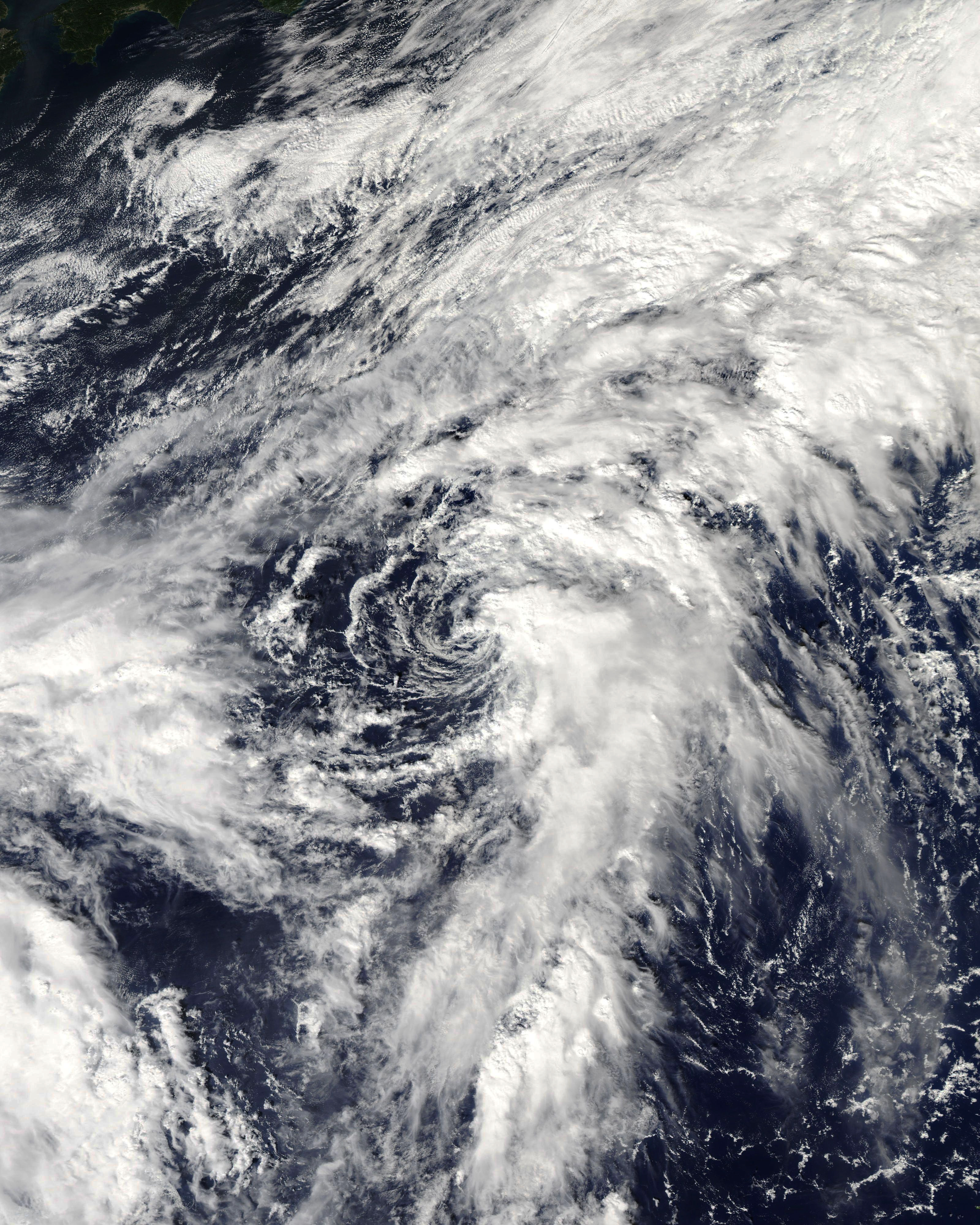 2020年太平洋台风季