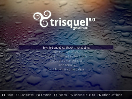<p>Trisquel 8.0 安装镜像启动菜单