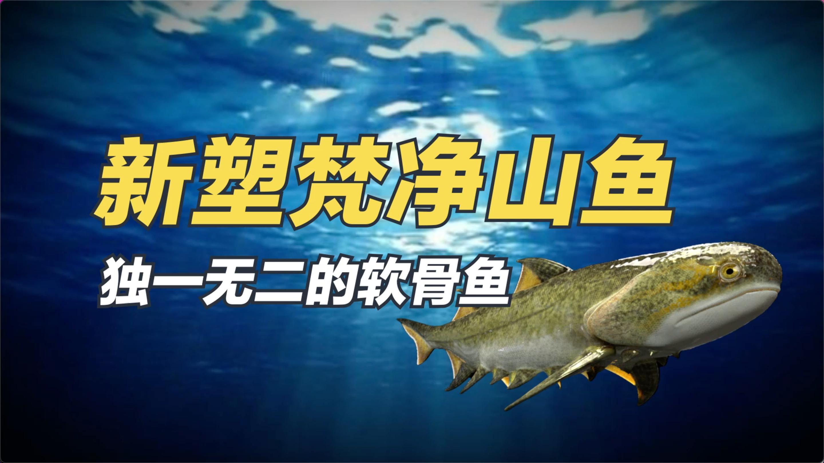 中科院的古鱼新发现:和佛教有关的鱼,你听过吗?