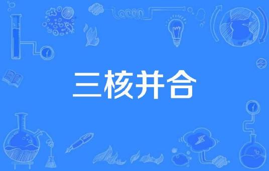 三核并合_百度百科
