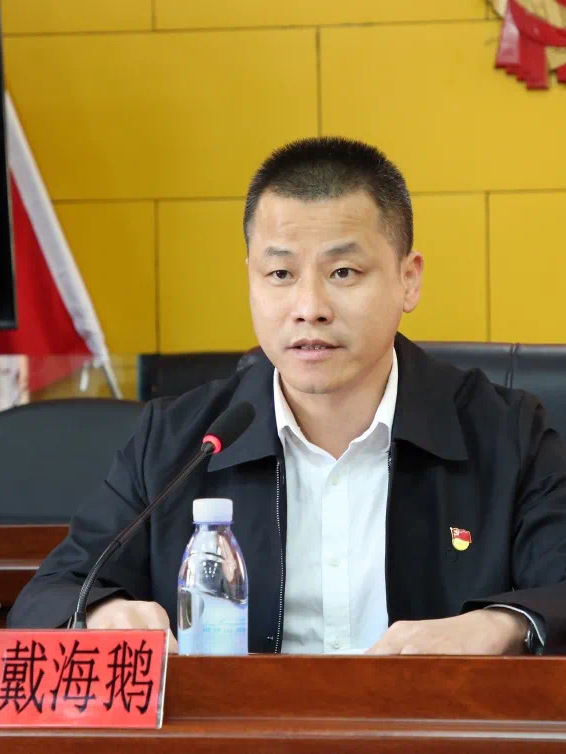  p>戴海鹅,现任福建省漳州市南靖县和溪镇党委书记. /p>