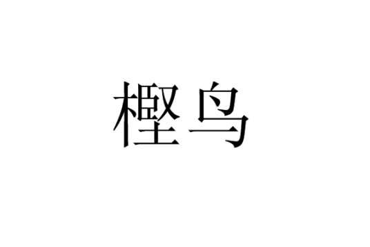樫鸟_百度百科