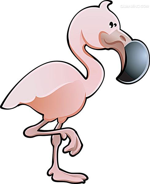 亦称 a href="#" data-lemmaid="2565046">红鹳 /a>